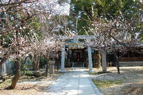 松原市探訪1（2009.03.10）③屯倉神社2・【酒屋神社】・・・_a0016431_16311265.jpg