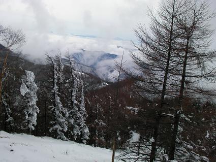 3月4日　雪の雲取山♡_e0082234_1444169.jpg