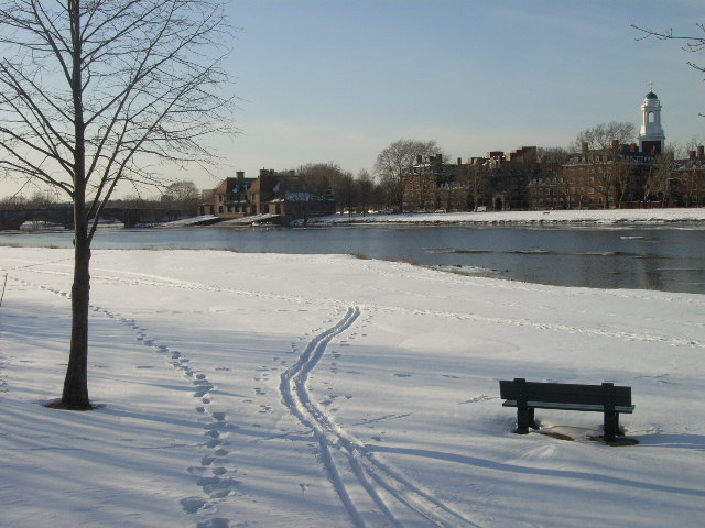 c0119583_16486.jpg