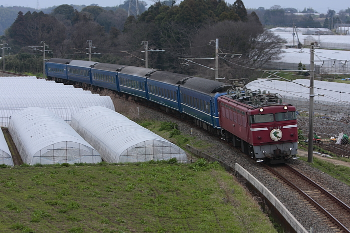 はやぶさ Forever・・・_e0135098_17591851.jpg