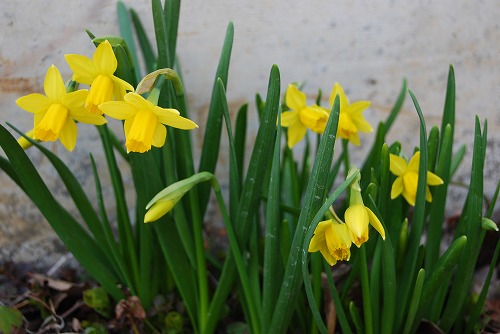 c0124100_18134186.jpg