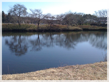2009ブラックバス第5戦。益子町 弁天池 他。_c0171001_17103794.jpg