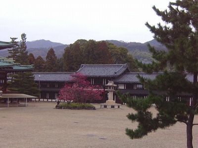 f0197504_1421026.jpg
