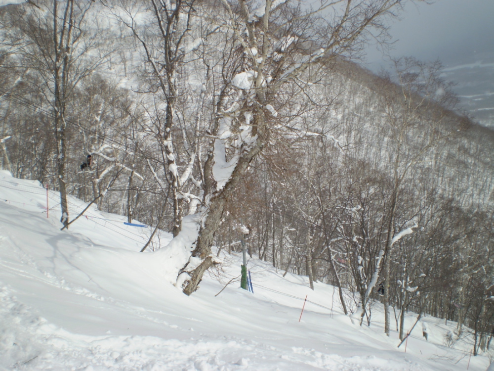 a0100206_209954.jpg