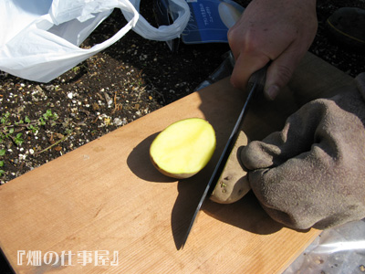 e0065906_17461114.jpg