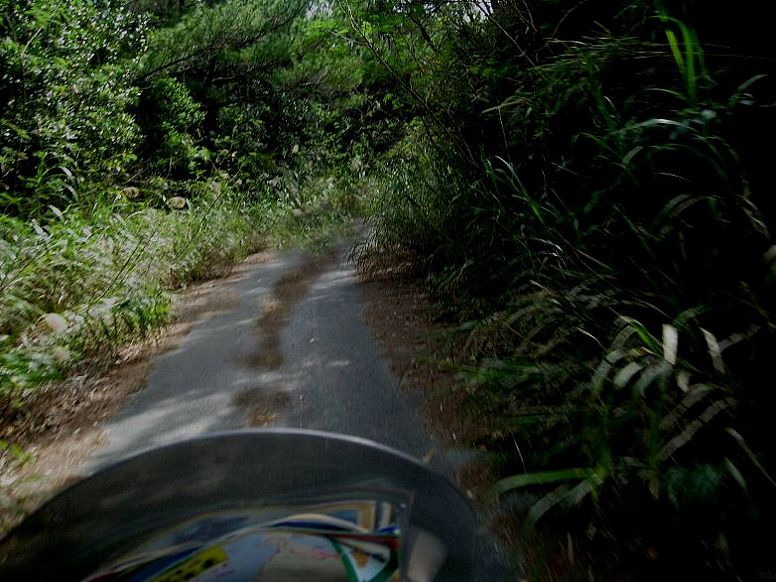 e0003910_2229028.jpg
