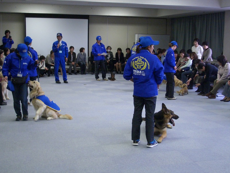 「セラピー犬」って知ってますか?_f0141310_23293292.jpg