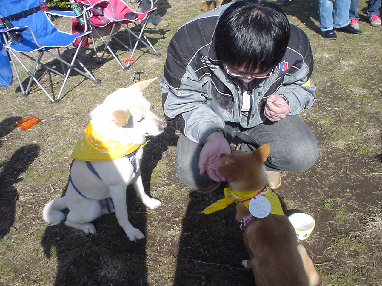 c0150520_21541346.jpg