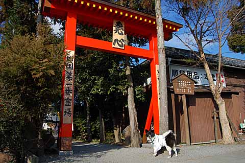 第一番札所　霊山寺（りょうぜんじ）_f0178924_14374462.jpg