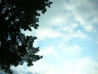 常盤の木_c0102228_10155736.jpg