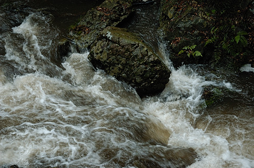 Photo gallery　　2009.3.14   　～a rainy day～_f0009128_11475496.jpg