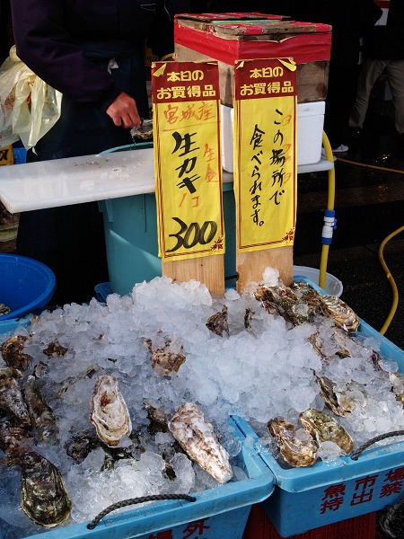 魚市場に行ってきた。 【後編】 [2009年1月25日の投稿]_e0169130_1272070.jpg