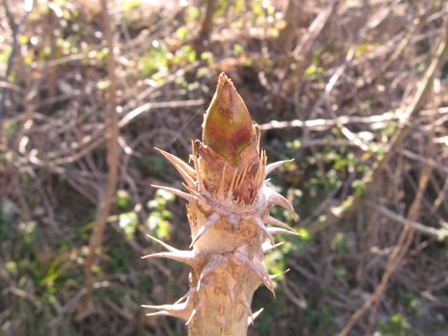 f0000330_2153463.jpg