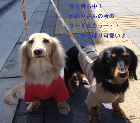c0117831_21324670.jpg