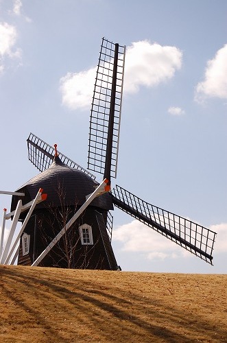 e0146031_21501985.jpg