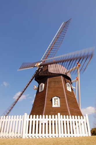 e0146031_21581321.jpg