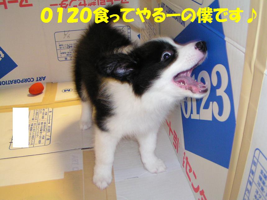 c0147241_2020972.jpg