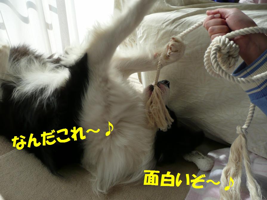 c0147241_2021138.jpg