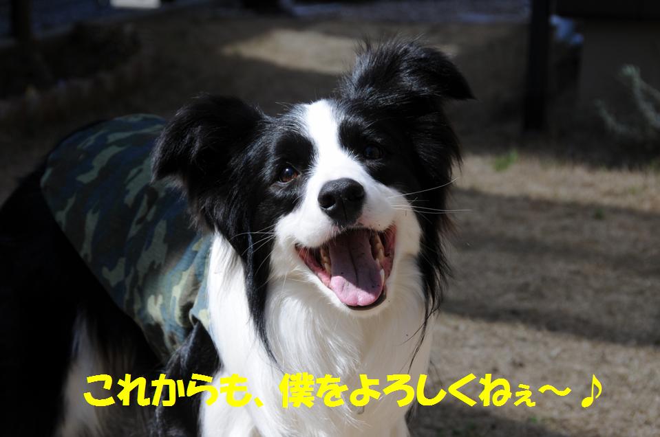 c0147241_20212832.jpg