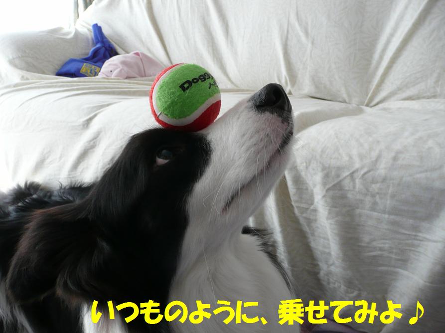 c0147241_2021691.jpg