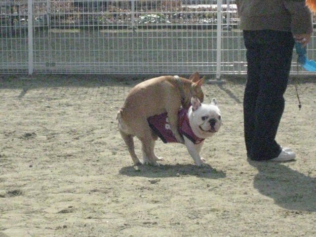 f0090344_1220630.jpg