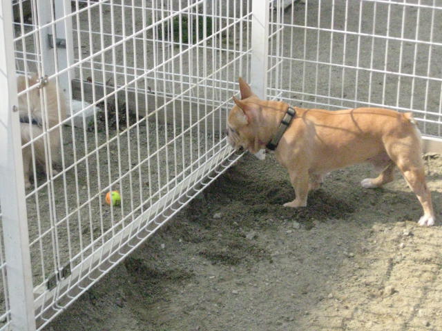 f0090344_12312388.jpg