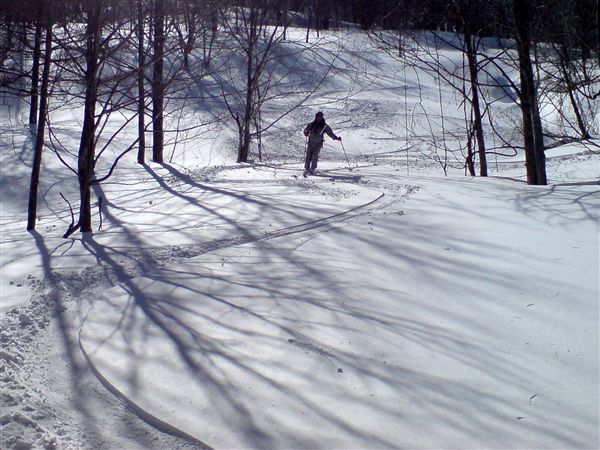 c0081645_2231368.jpg