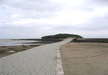 宮崎・青島神社　その１_b0025850_20553998.jpg