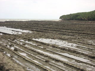 b0025850_20572157.jpg