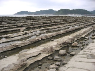 宮崎・青島神社　その１_b0025850_2111997.jpg