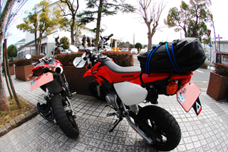 a0052952_10355387.jpg