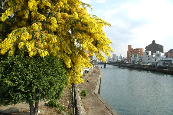 　　川のある風景_b0093754_2354116.jpg