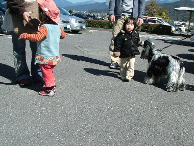 とべ動物園へ行ってきました。_c0131360_21242611.jpg