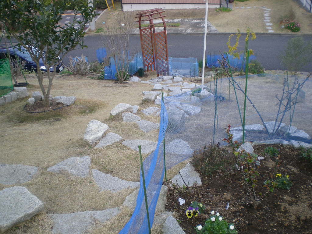 2009年3月15日(日)すべてのバラにキョン除けネット!_f0060461_2057121.jpg