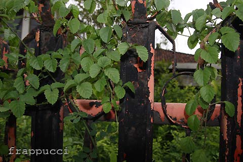 d0056263_2202689.jpg