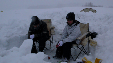 f0163063_1637678.gif