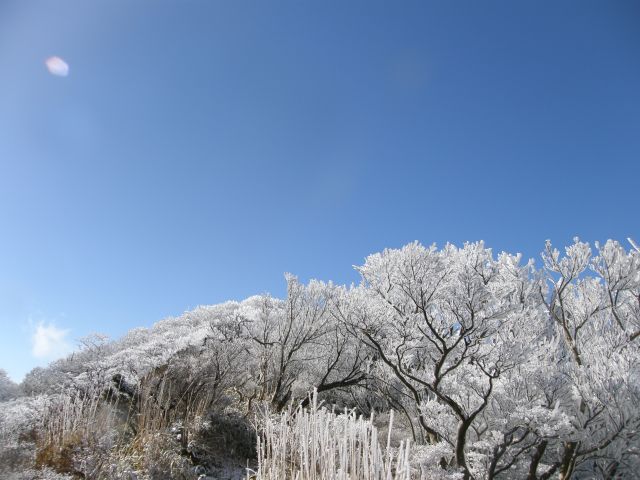 c0042869_1410367.jpg