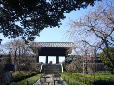 e0067674_14315978.jpg