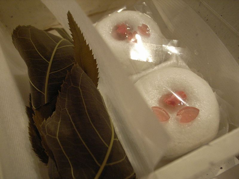 d0068879_1012680.jpg