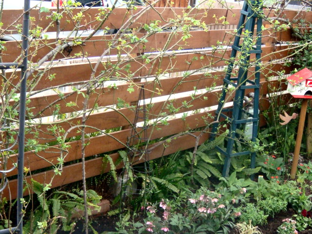 e0154682_21467.jpg