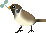 c0132387_2371122.gif
