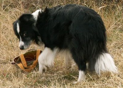 f0015287_12318.jpg