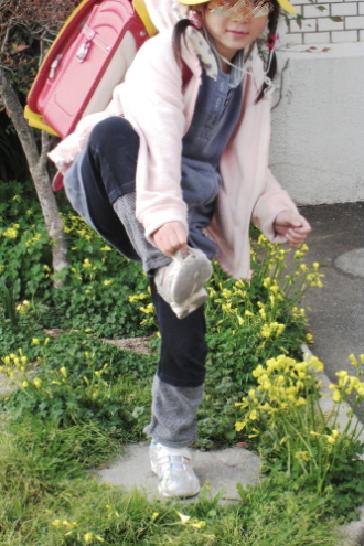 c0129498_07234.jpg