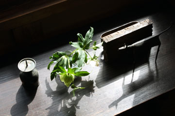 e0156015_1757561.jpg
