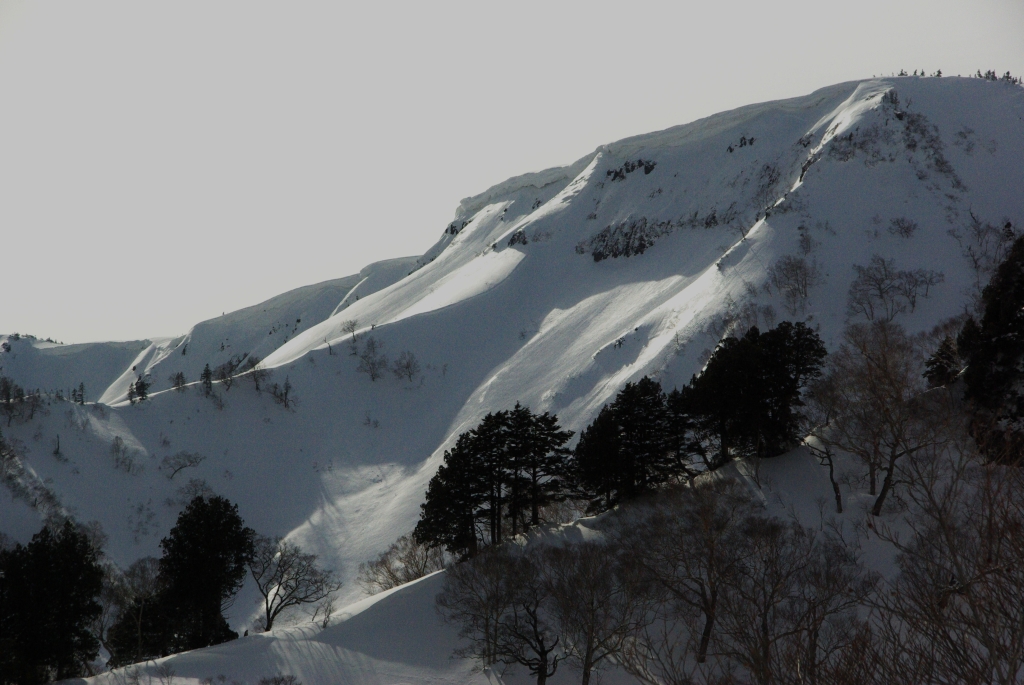 b0062024_8122972.jpg