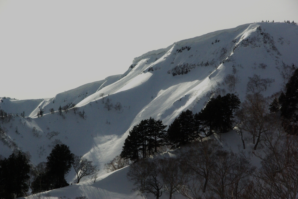 思い出すたび熱くなる(3 / 5)　　Mt.Naeba east slope　#3_b0062024_8122972.jpg