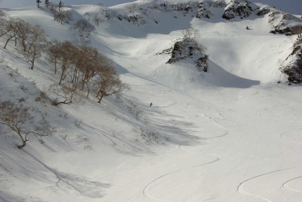 思い出すたび熱くなる(3 / 5)　　Mt.Naeba east slope　#3_b0062024_85288.jpg