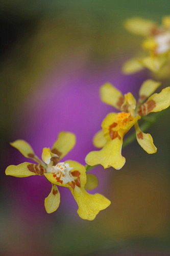 日本、準決勝に王手！_d0038630_1616828.jpg