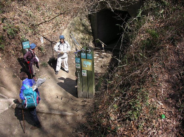c0029332_2156257.jpg