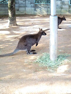 d0048332_15265181.gif